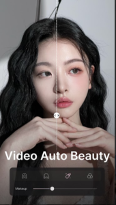 Wink – Video Enhancing Tool 2