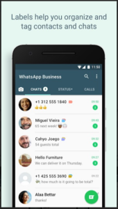 WhatsApp Business 3