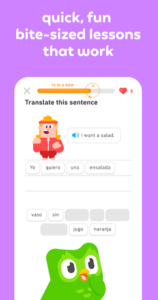 Duolingo: Language Lessons 3