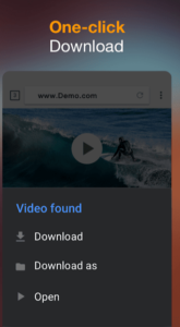 Video Downloader 1